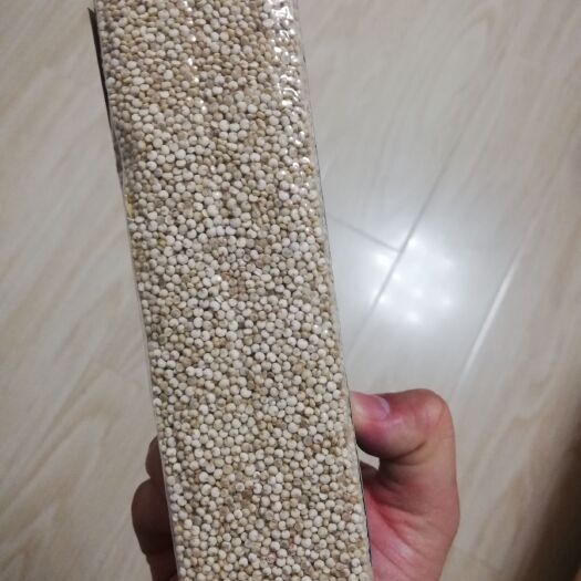 湟源县 藜麦