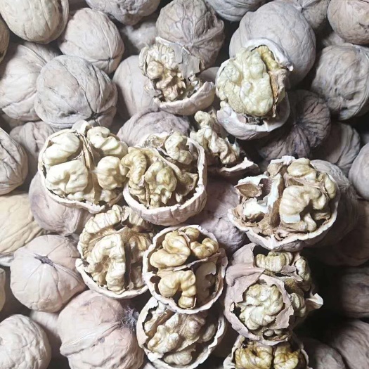 永州 核桃-薄皮核桃