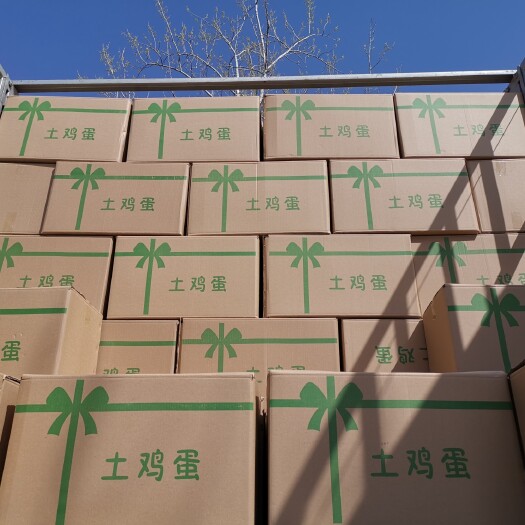 武陟县土鸡蛋  精品双色粉蛋