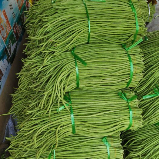 徐闻县 精品长豆角