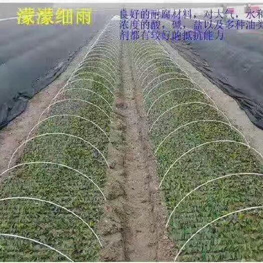 东莞市大棚杆 优质玻纤小拱棚杆代替毛竹片最好选择