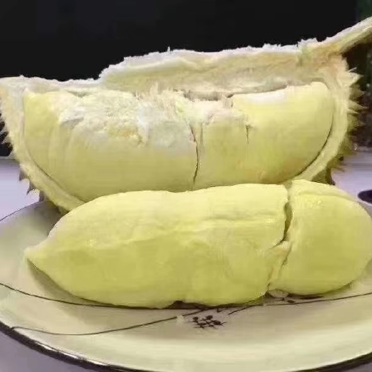 灵山县泰国榴莲苗 榴莲水果苗