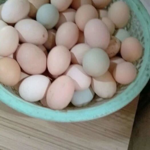 阳西县 不喂饲料的农家鸡蛋，散养，土养，保证新鲜，量不大