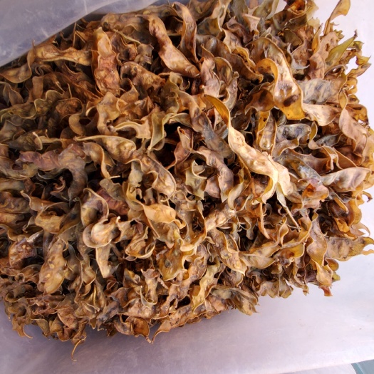 郑州梅豆角干 农家自制梅豆角（刀豆）