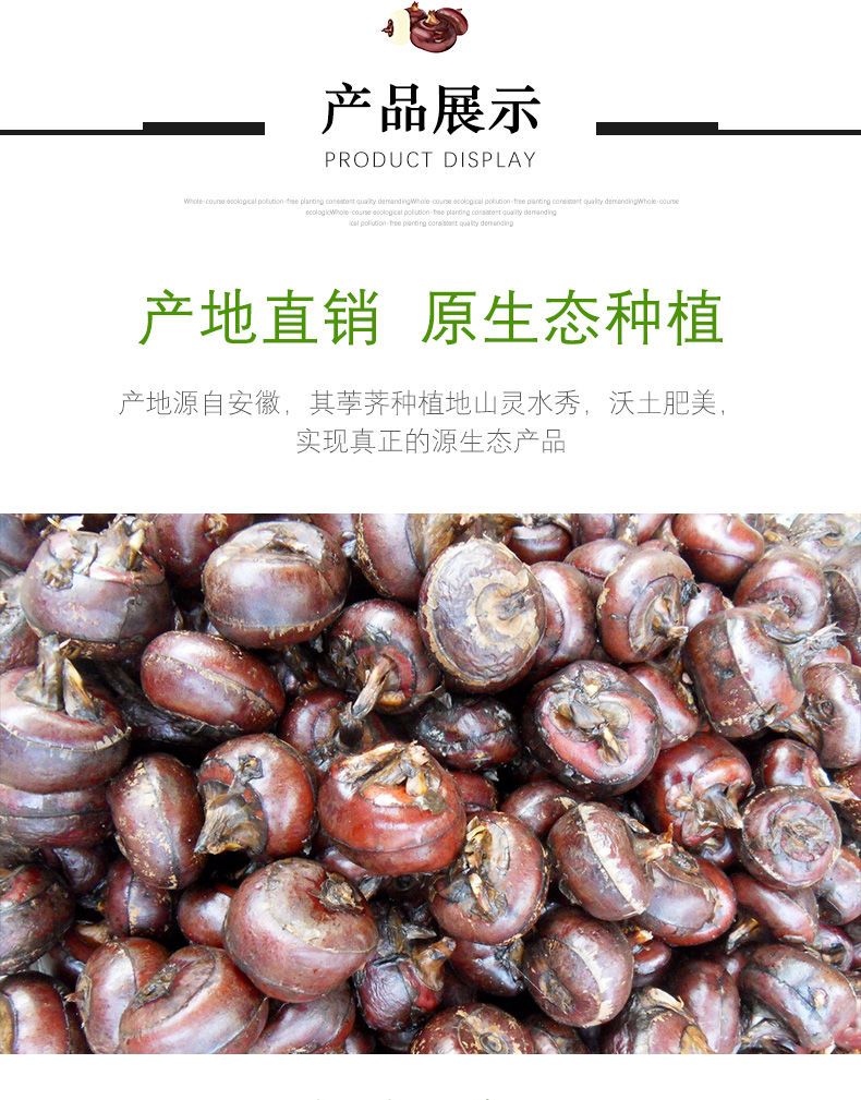 毛马蹄  安徽新鲜马蹄荸荠鲜甜脆可口多汁地栗农家水果蔬菜