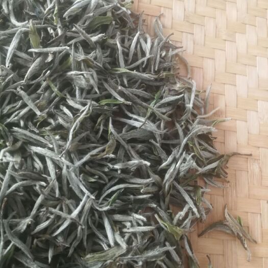 福鼎市 有机老白茶