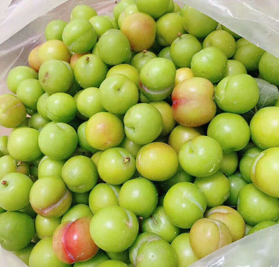 青脆李  三月李新鲜现货酸脆三月李水果青李子5斤包邮