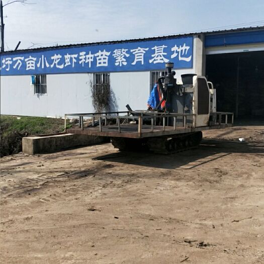 全椒县万亩清水小龙虾全国发货