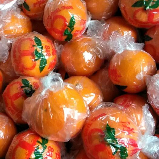 芷江县冰糖橙  原产黔阳冰糖柑吃在嘴里甜在心里且物美价廉，交通便利