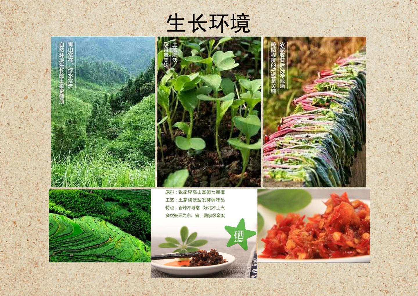  辣之韵油辣椒