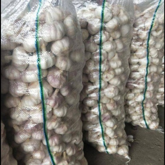 广州大蒜 混级统货 多瓣蒜