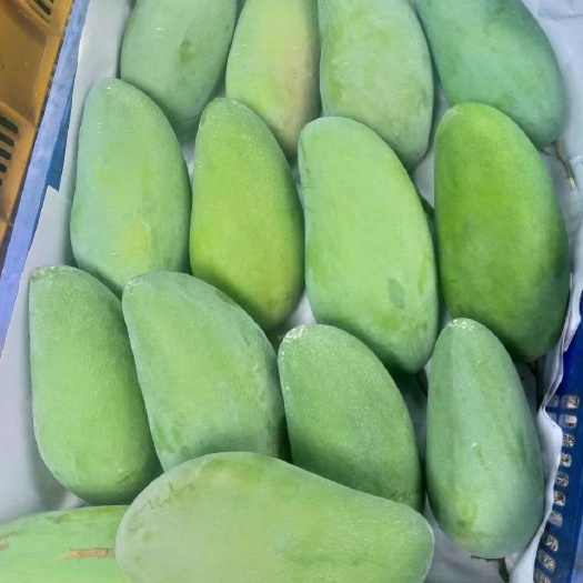 凭祥市越南青芒 越南大青芒，源头直销，只批发不零售支持一件代发