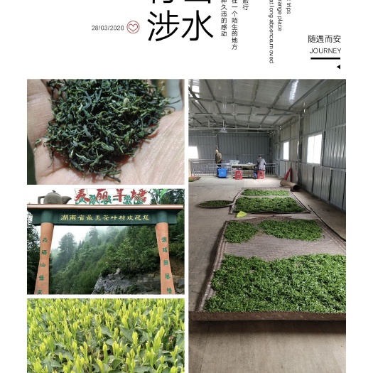 汝城县云雾茶 特级 礼盒装