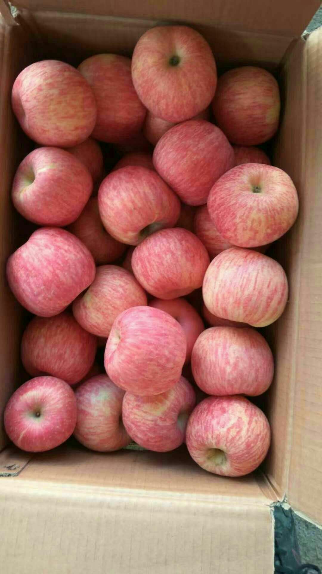 沂源县 这里是淄博沂源县，临沂蒙阴的交接处，苹果桃子都是精品之地！