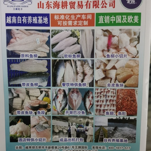 济南 越南巴沙鱼 工厂直销  价格优惠 诚招全国各地商户