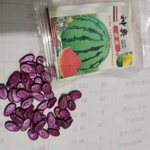 依安县美都西瓜种子 大果美都高品质不裂果红瓤抗低温不积水