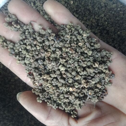 罗城县 吴茱萸