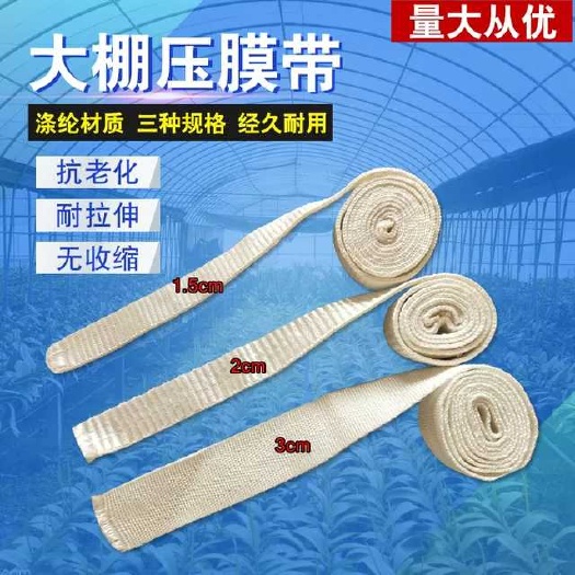 寿光市压膜带 大棚涤纶压膜绳尼龙固膜带防晒抗老化无伸缩黑色托膜丝线厂