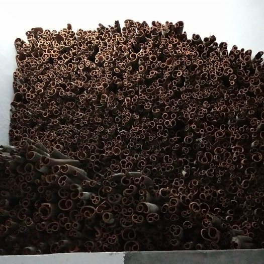 桂平市肉桂 广西桂平特厚桂皮