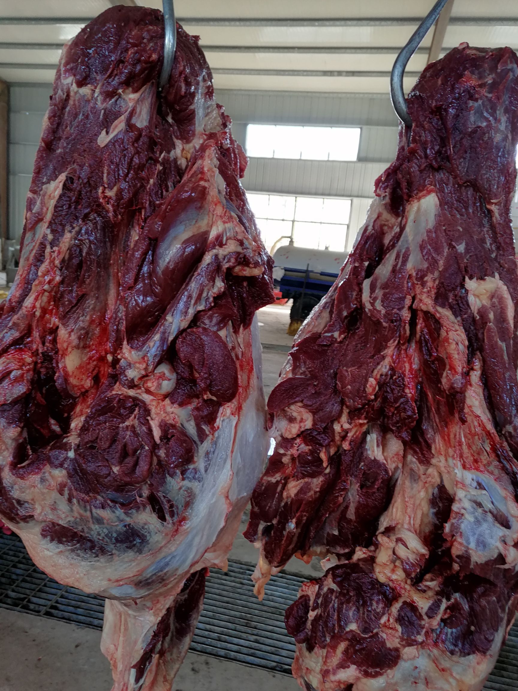 现杀鲜马肉，纯干货，无注水，支持平台交易