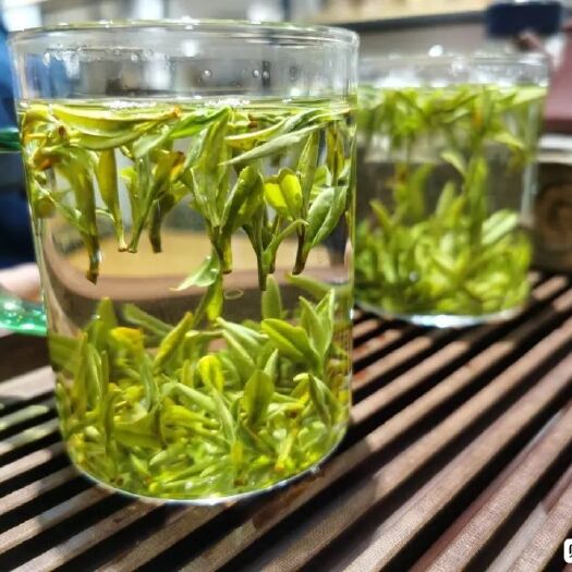 镇安县 陕青农家自产明前茶春茶毛尖绿茶