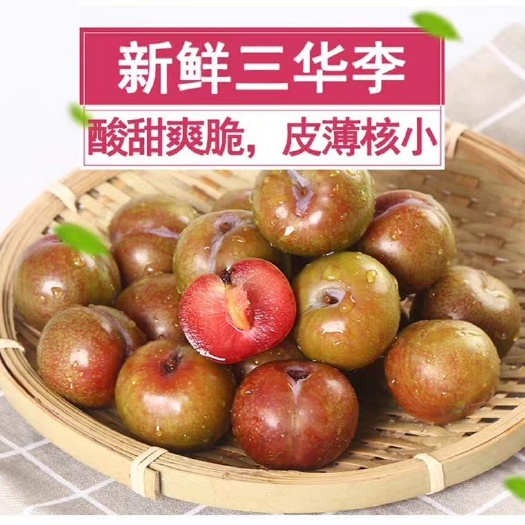 五华县现货爽脆李子新鲜来袭 精选三华李孕妇水果酸脆三华李特产