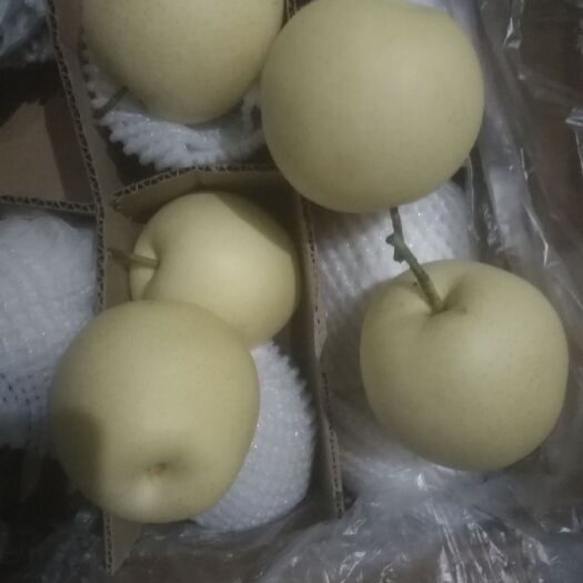 赵县皇冠梨 80mm以上 250-300g