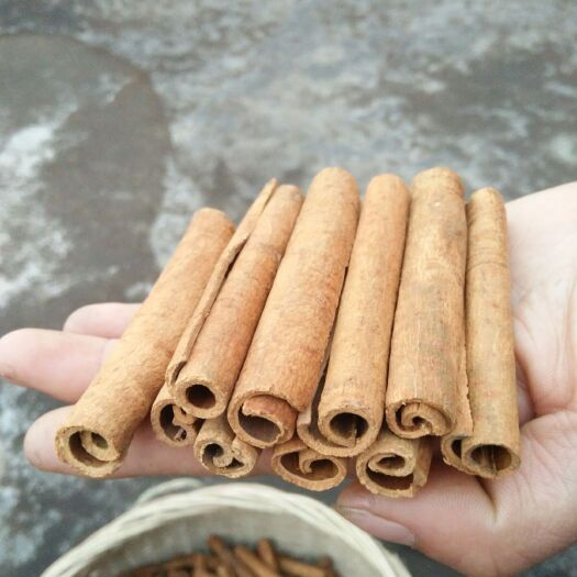 防城港烟仔桂 精品烟桂