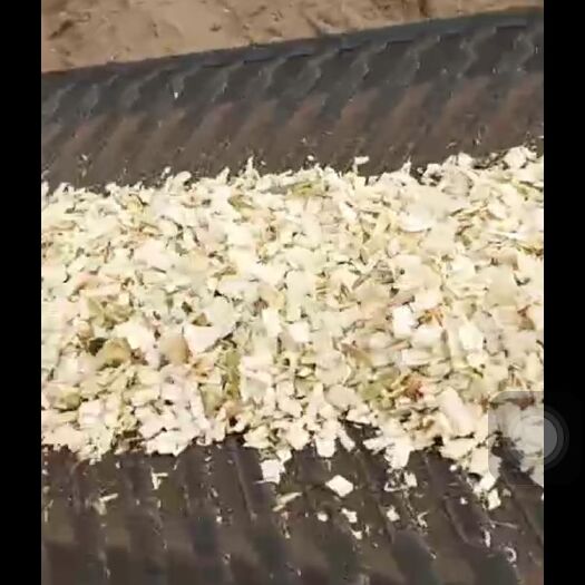 西安木材  食用菌木屑（锯末）青冈木，花栎木
