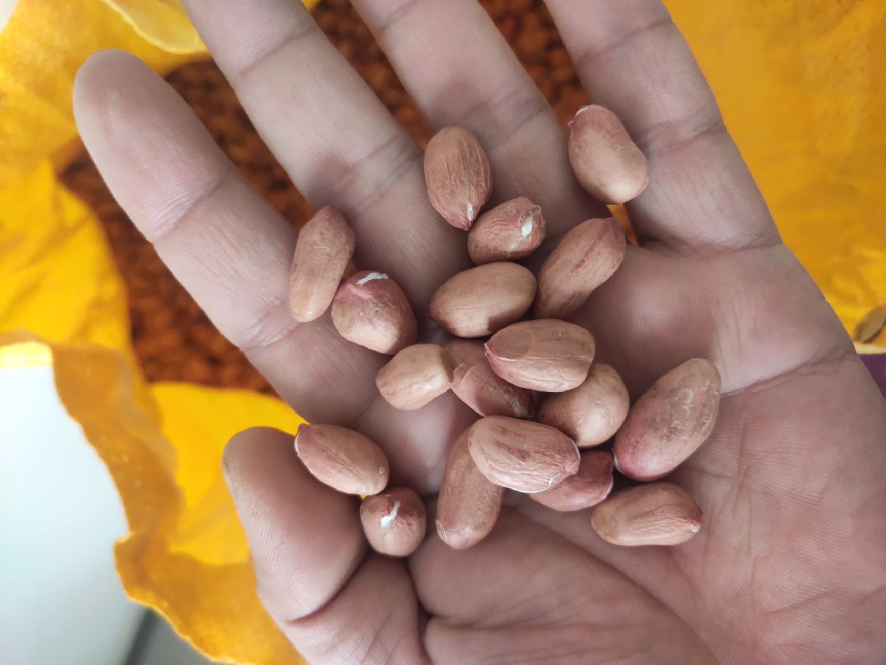 延津县 花生米手剥花生米