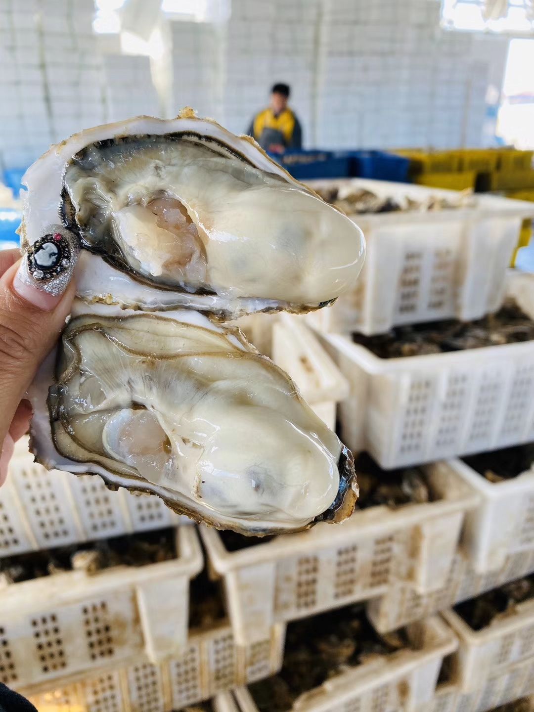 做批发生蚝生意要注意什么