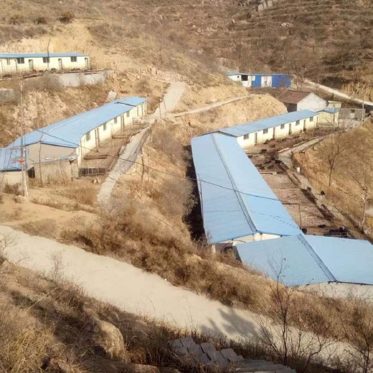 养殖大棚 沂源县养殖场