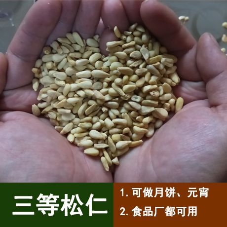  松子仁