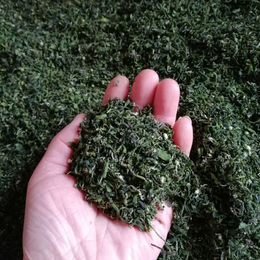 桂东县毛尖茶  茶叶沫，粉