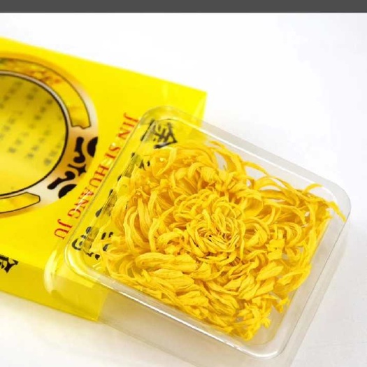 开封金丝黄菊苗 金丝黄菊