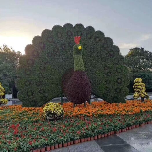 开封红花景天 五色草造型