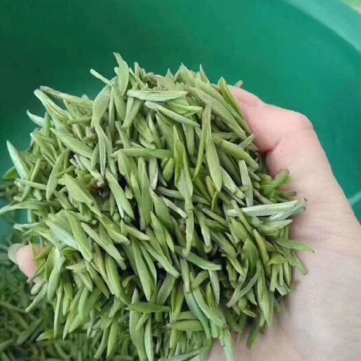 苏州 苏州原产地自产碧螺春