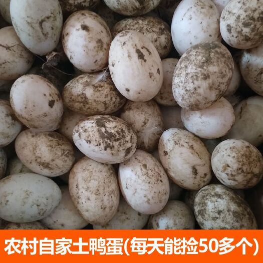会昌县 吃稻谷玉米正宗农村乡下散养放养新鲜食用土鸭蛋现捡现发