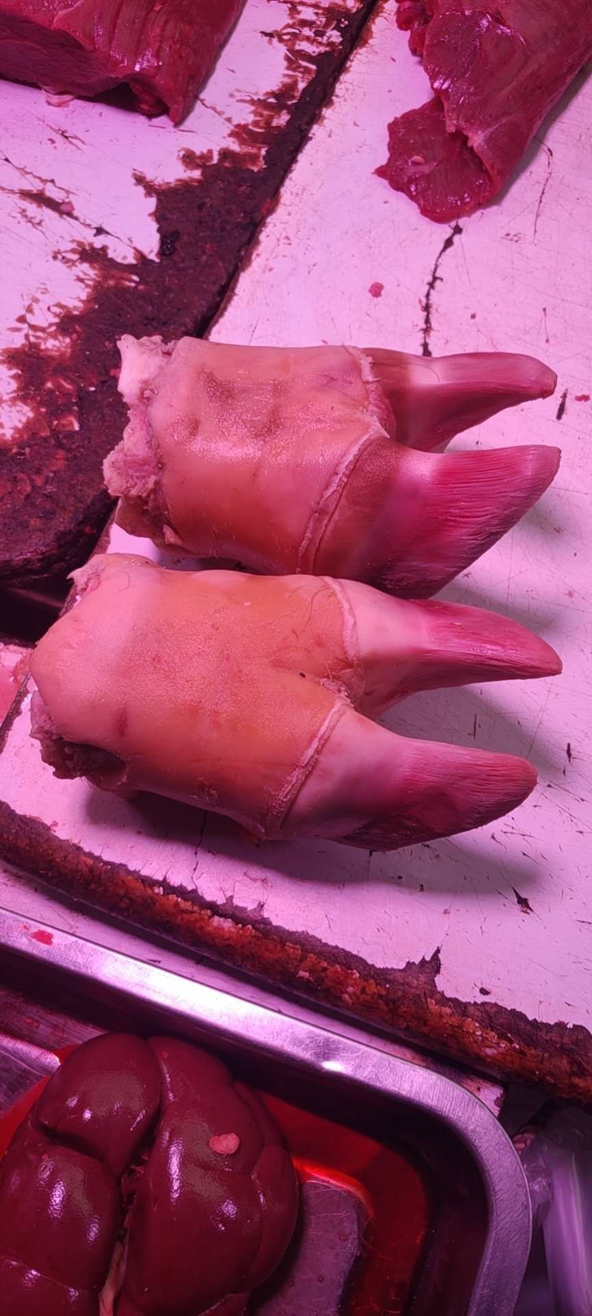 新鲜牛蹄 正宗黄牛牛脚