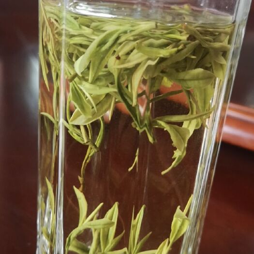 安吉县安吉白茶原产地茶叶明前特级白茶
