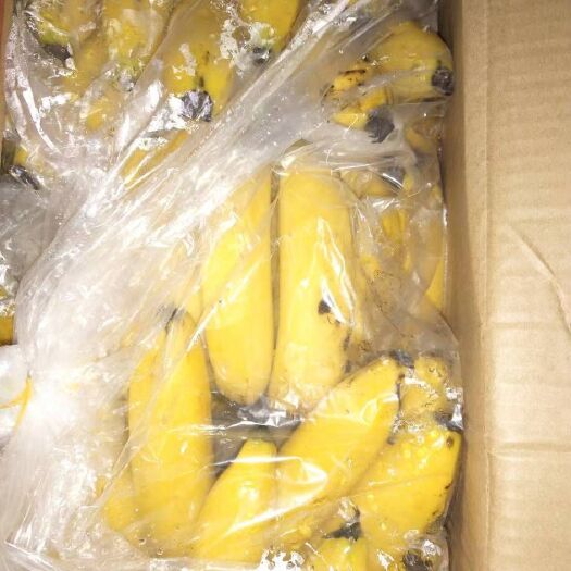 郑州 云南香蕉