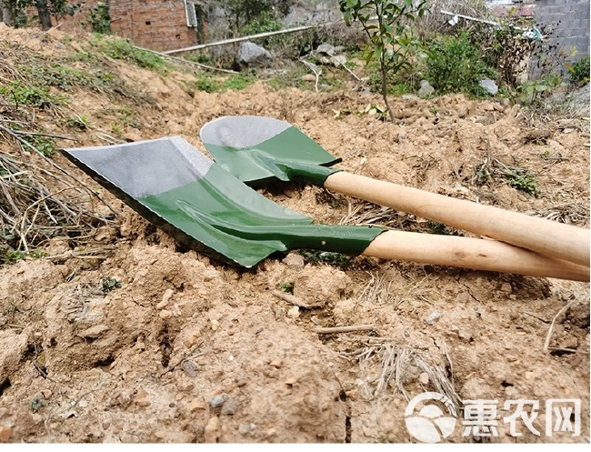  铁锹农用羊铲挖土工具尖头平头小号木柄加厚锰钢淬火钢锹铁锨铁