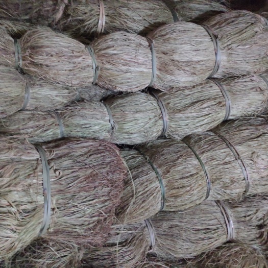 大竹县苎麻 【供应消防管道】大竹县纯手工青麻，长度3尺以上，