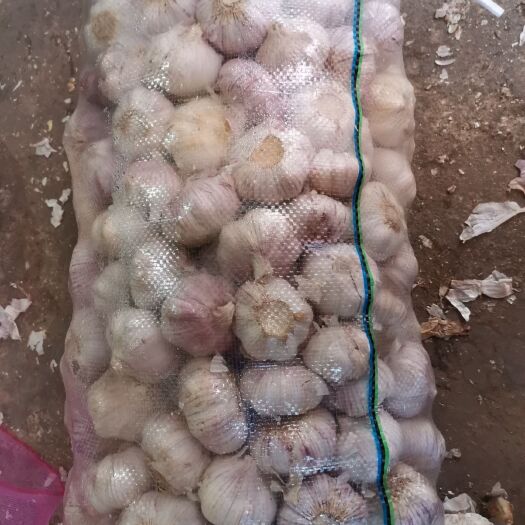 渠县 大蒜批发4块一斤。