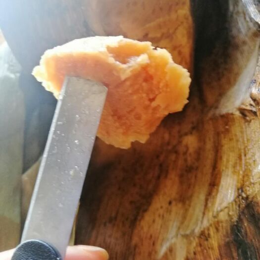 遵义 正宗贵州遵义南白黄粑