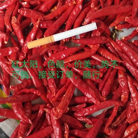 鄢陵县 批发各种辣椒