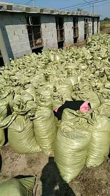 秭归县黄小米  有机羊粪小米 有机鸟粪