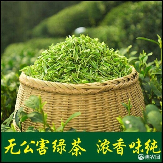 洪雅县炒青茶 正宗四川土川茶 无农药 天然 口感极加 今年春茶