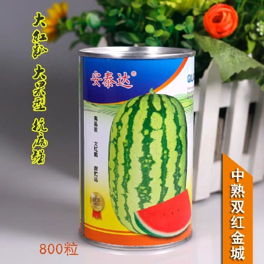 大红金城五号西瓜种子甘肃原产中熟椭圆皮韧双红瓤不空心正