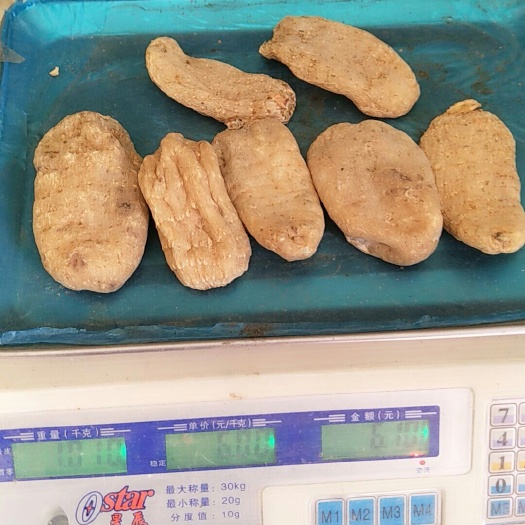 留坝县乌红杂交天麻  陕西干天麻  天麻片  煲汤、打粉用天麻，纯
